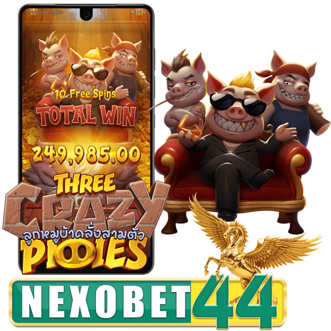 THREE CRAZY PIGGIES